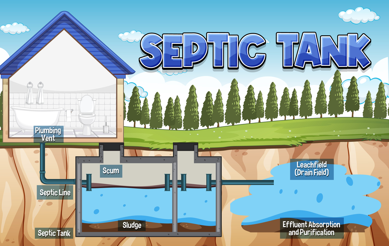 Septic tank system diagram